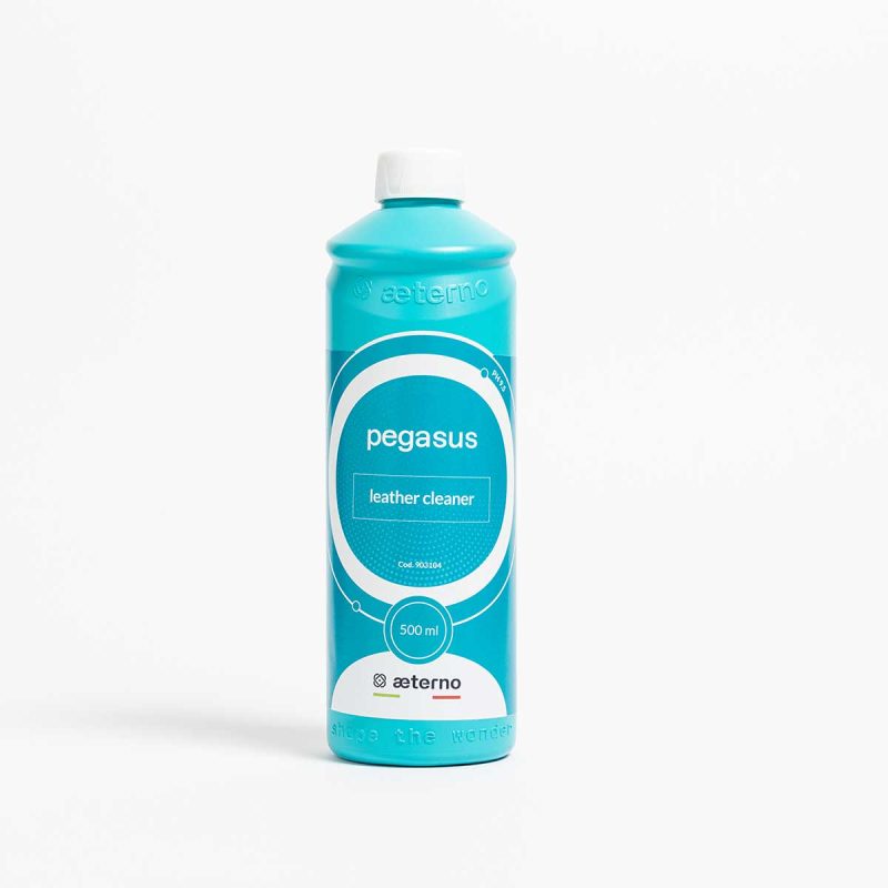 aeterno_pegasus2