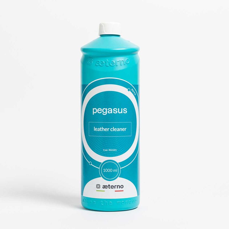 aeterno_pegasus3